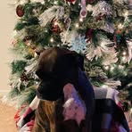 Oakley Hogan - Facebook