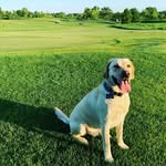 Oakley Hogan 🐾 - @totallyy_oakley - Instagram