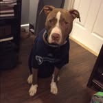Oakley Howell - @oakley_howell - Instagram