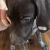 Oakley Hunter - @oakley.hunter - TikTok