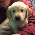 Oakley Jackson - @thegolden_oak - Instagram