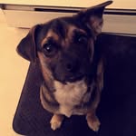 Oakley Jackson - @lifeofoakley16 - Instagram