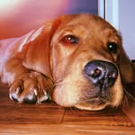 Oakley Jackson - @_oakley_jackson - Instagram
