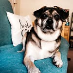 Oakley Jackson - @lifeofoakleyjackson - Instagram