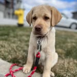 Oakley Jackson - @oakley.jackson4 - Instagram