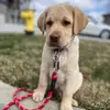 Oakley Jackson - @oakley.jackson4 - TikTok