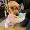 Oakley Jensen - @oakley126 - TikTok
