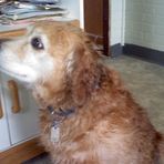 Oakley Johnston - Facebook