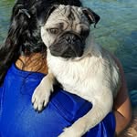 King Oakley - @_king.oakley - Instagram