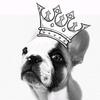 oakley_the_king - @oakley_the_king - TikTok