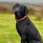 Oakley Walters - @oakley_kingofgoodboys - Instagram