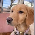 Oakley Lamb - @oakleyy.girl - Instagram