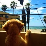 Oakley Lamb - @oakleylamb - Instagram