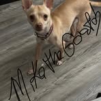 Oakley Lambert - Facebook
