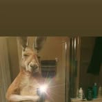 Oakley Lambert - Facebook