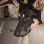 Oakley Lawrence Lorentzen - @oakleylawrencelorentzen - Instagram