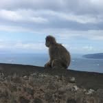 Oakley Lowe - @oakley_lowe - Instagram