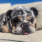 OAKLEY - @oakley.lyons - Instagram