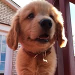 Oakley Malone Hall - @oakley.malone - Instagram
