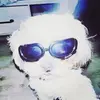 V - @oakleymelone - TikTok