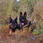 Oakley and Kalani Meadows - @overland_oakley - Instagram