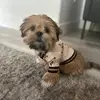 oakleymilesshow - @oakleymilesshow - TikTok