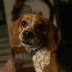 Oakley Moore - Facebook