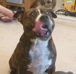 Oakley Moore - Facebook