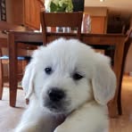 Oakley Morrison - Facebook