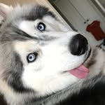 Oakley Murphy - @oakleyantics - Instagram
