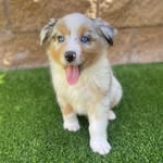 Oakley Murphy - @oakley_murph - Instagram