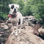 Oakley Murphy - @mr_oakley26 - Instagram