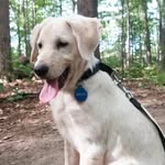 Oakley Murphy Ridding 🐾🐾 - @_oakley_doakley - Instagram
