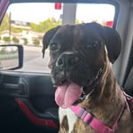 Oakley Conway-Nelson🎀 - @oakleymae.theboxer - Instagram