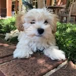 🤩Oakley🤩 - @oakley.nelson - Instagram
