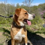 @oakley.olson30 - Instagram