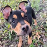 Oakley Olson! - @oakley.olsonn - Instagram