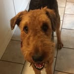 Oakley Olson - @dotheoakleypokey - Instagram