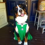 Oakley Olson 🐶 - @ooakley07 - Instagram