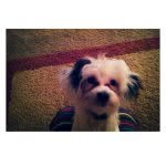 Oakley Parks - @oakley_parks - Instagram