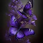 Oakley Pierce - Facebook