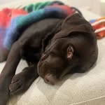 oakley + porter - @oak.and.port - Instagram