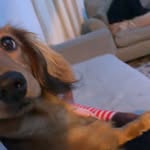 oakleyporter - @oakleyporter12 - Instagram