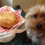 Oakley Powell - Facebook