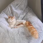 Oakley Powell - Facebook
