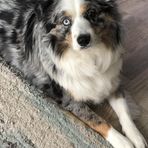 Oakley Ray - Facebook