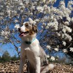 Oakley Ray - @oakley_.ray - Instagram