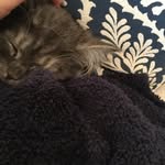 Oakley - @oakley_rose_ - Instagram