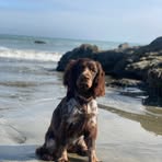 Oakley Rose - Facebook
