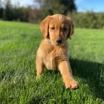 Oakley Rose - @oakleyrose_official - Instagram